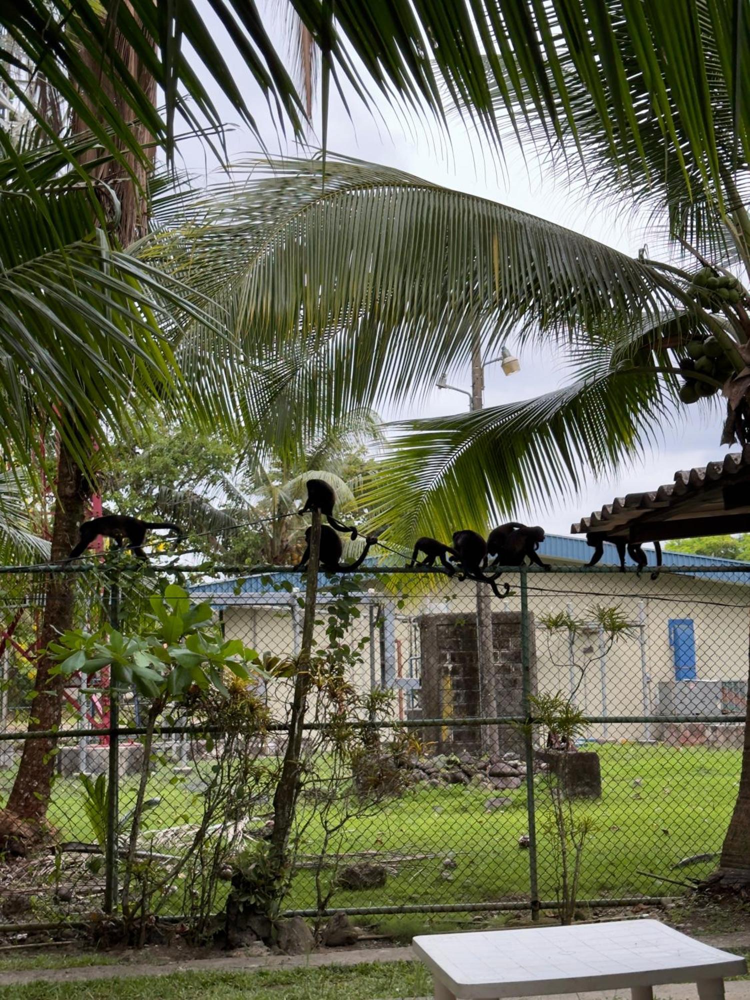 Casa Mamre Hostel กาอุยตา ภายนอก รูปภาพ